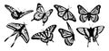 Butterfly silhouette icons set. Vector Illustrations. Royalty Free Stock Photo